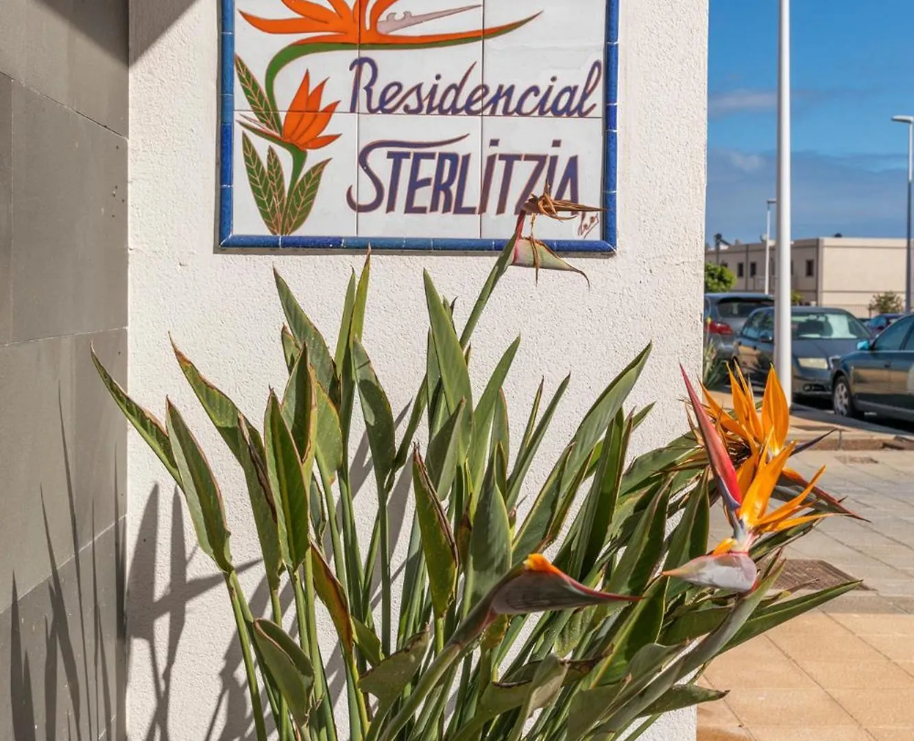 אל מדאנו Medano4You Strelitzia Penthouse דירה